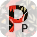 Extension Icon